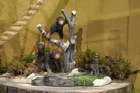 Luville General Lion monkey - afbeelding 3