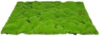 My Village Kunstmos Mat Groen Medium 70x50cm kopen?