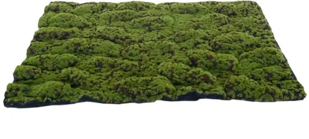 My Village mos mat medium groen/bruin 70x50cm