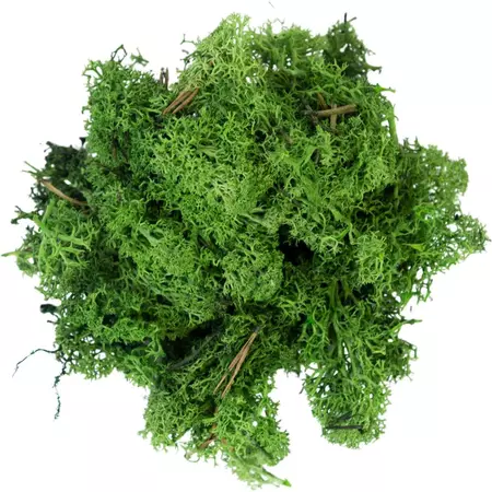 My Village Rendiermos donkergroen 500g - afbeelding 2