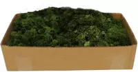 My Village Rendiermos donkergroen 500g - afbeelding 1