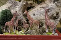 Luville General Giraffe family 3 stuks - afbeelding 2