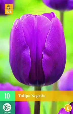 Test - afbeelding 3